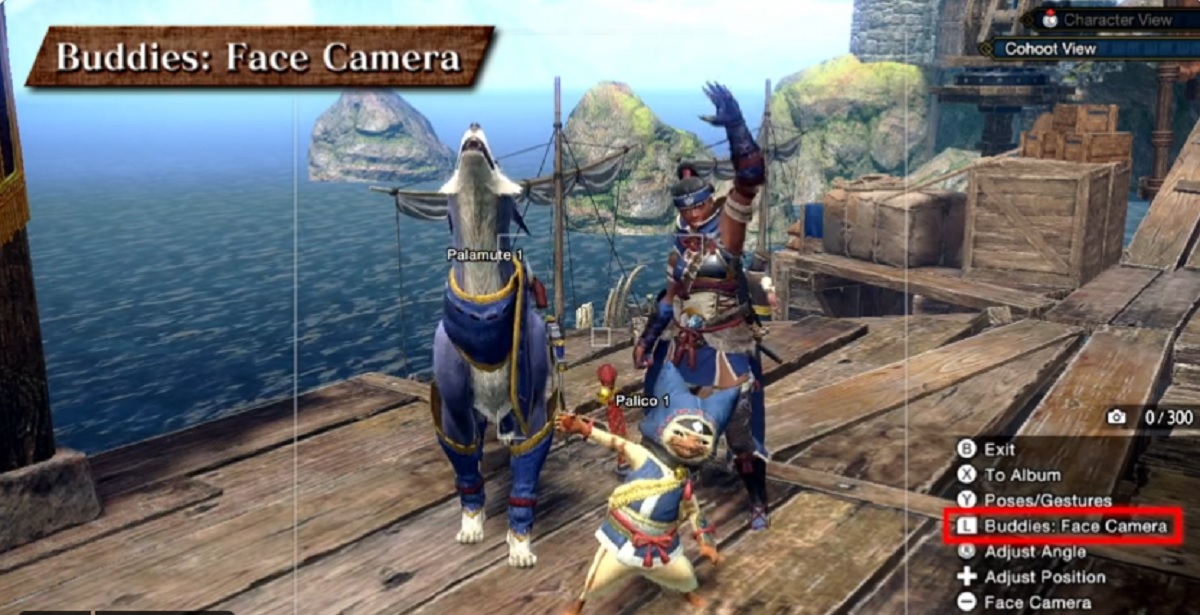 Monster Hunter Rise camera