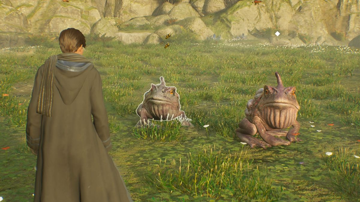 Giant Purple Toads in Hogwarts Legacy