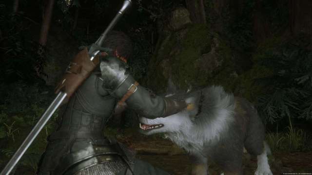 petting torgal in final fantasy xvi