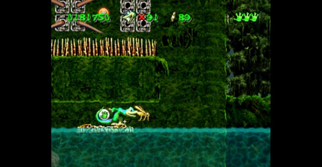 Jungle Level