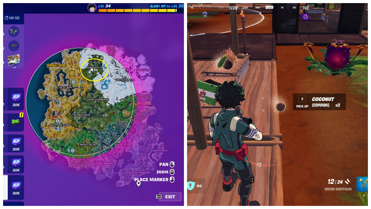 Where to find coconuts in Fortnite