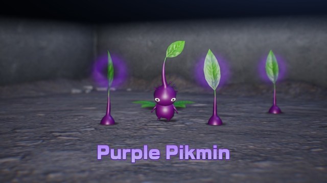 Purple Pikmin in Pikmin 4.