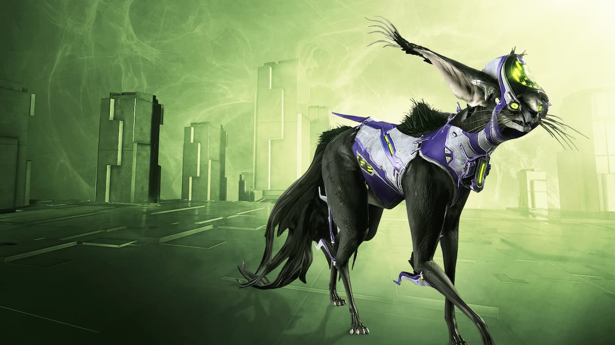 A Kavat Companion in Warframe