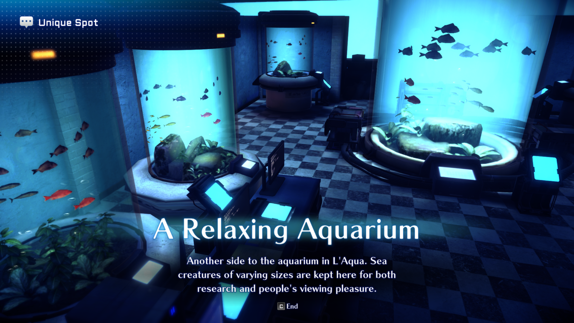 Unique Spot 25 - A Relaxing Aquarium. It's inside of L'Aqua, tucked in the back