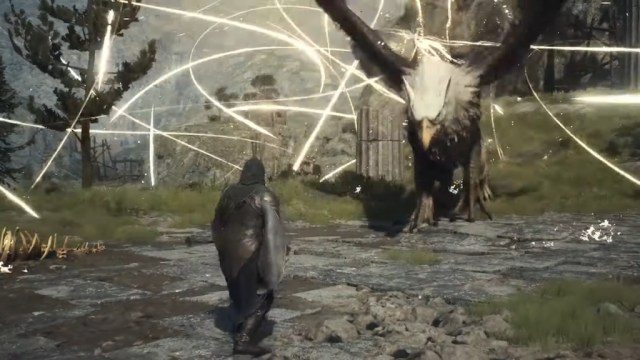 Eagle in Dragon's Dogma 2.