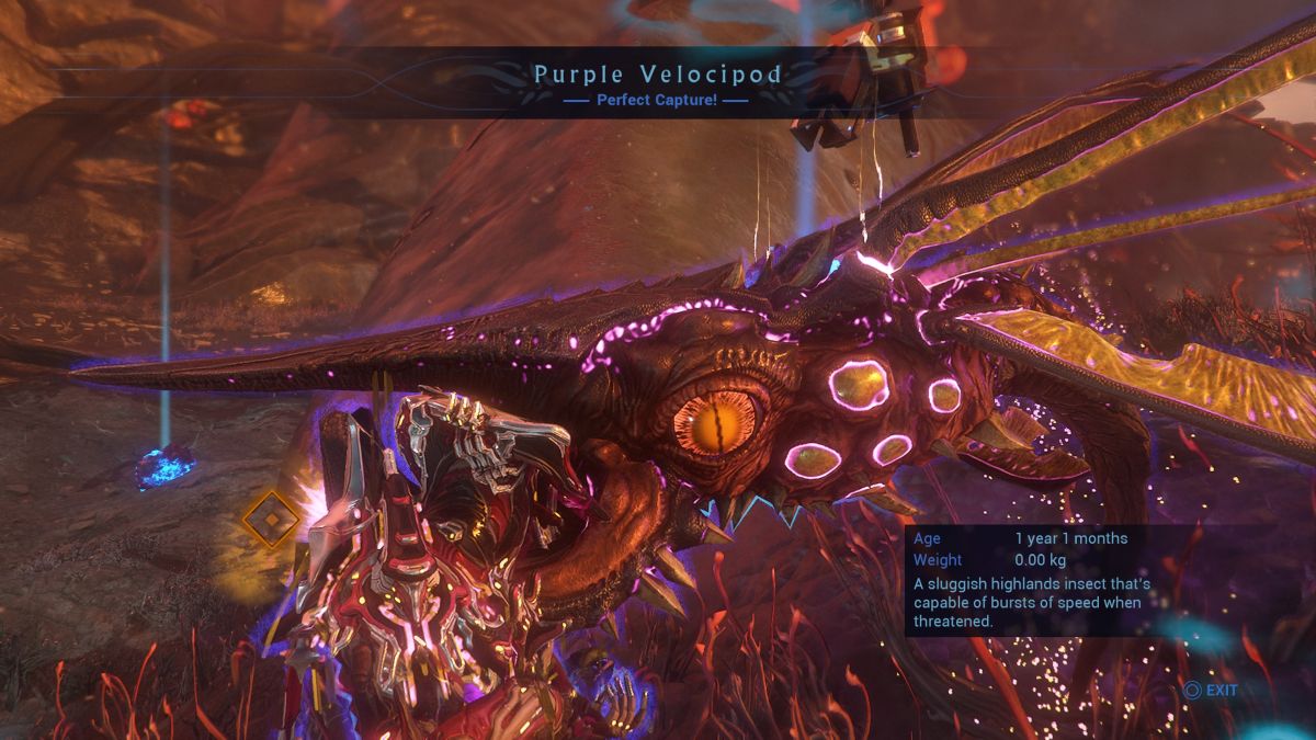 How to farm Purple Velocipods in Warframe