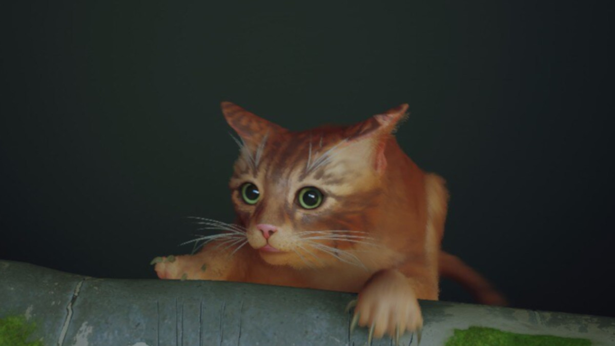 Cat falling in Stray.