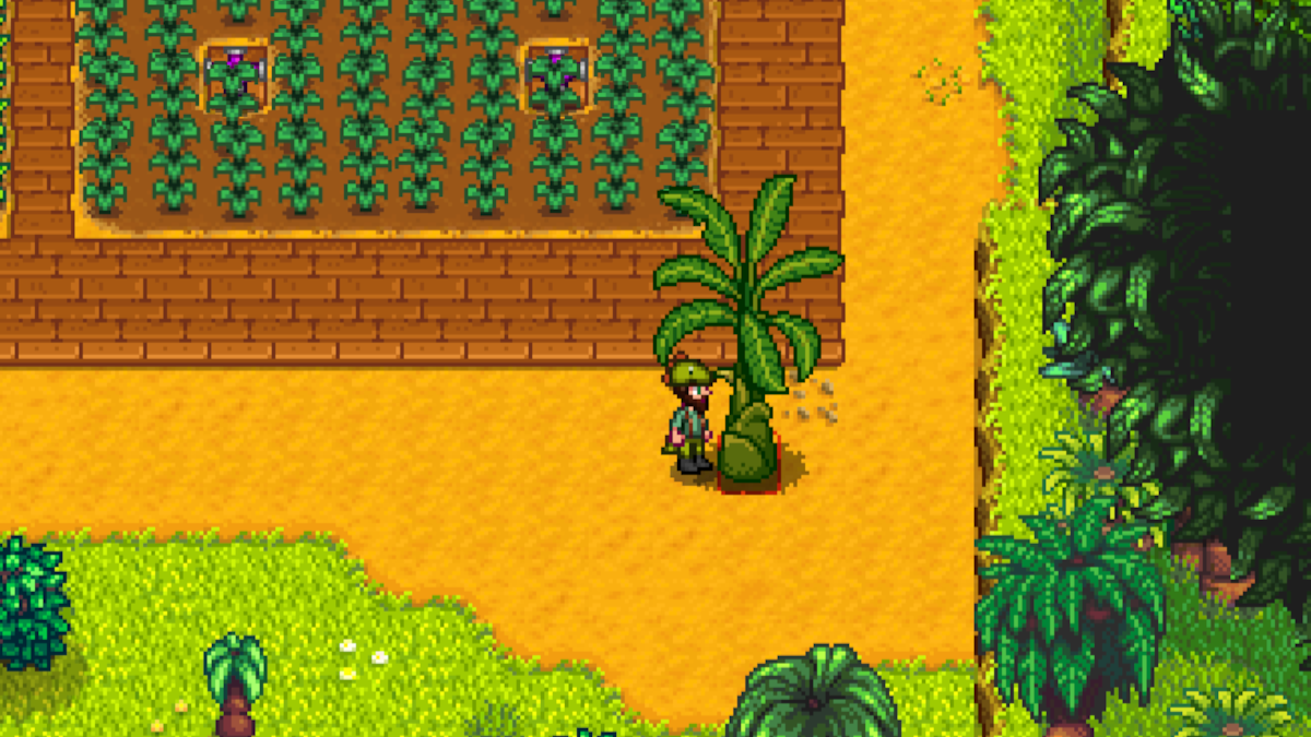 Banana Tree in Stardew Valley