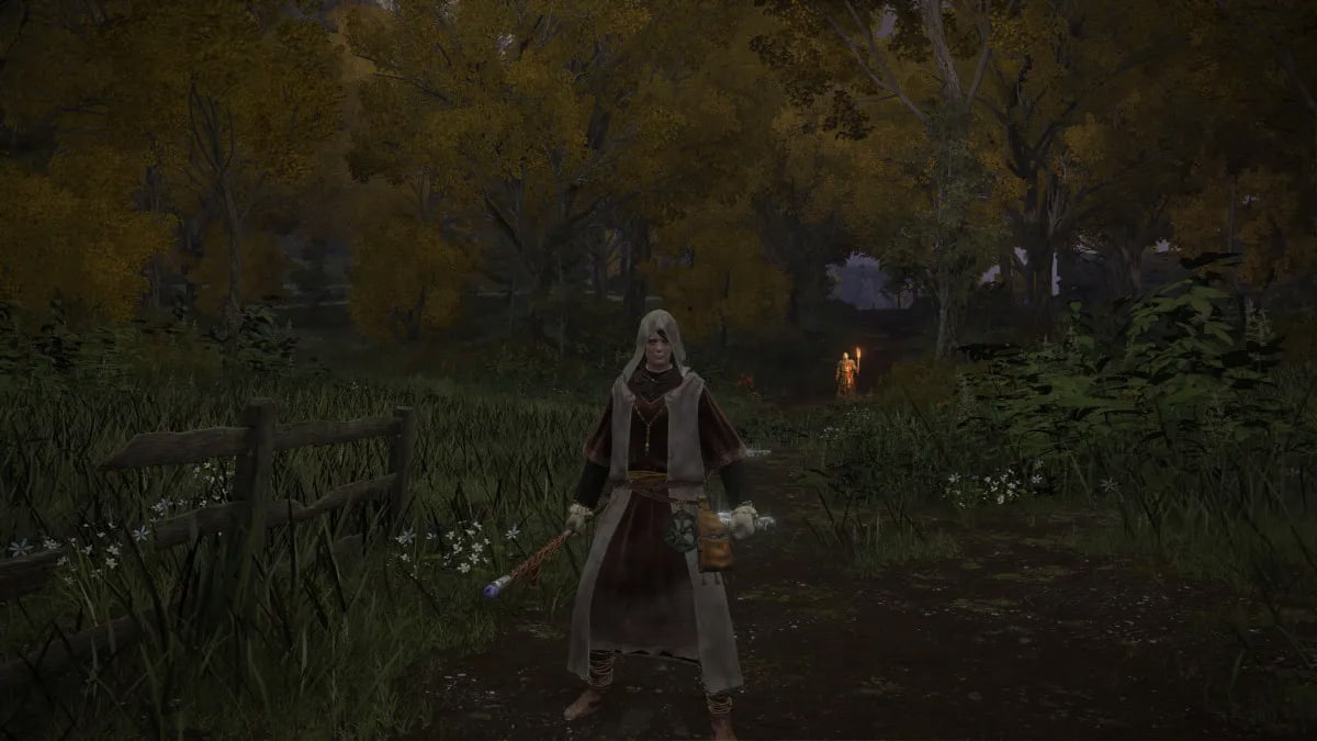 Character in Elden Ring