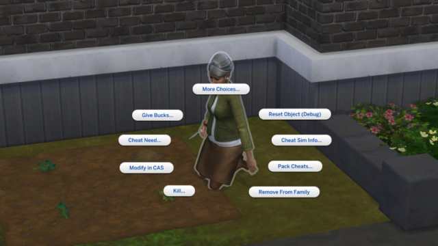 The Sims 4 age up cheats