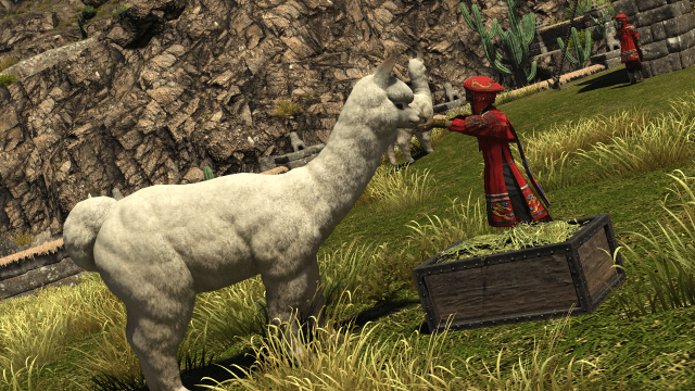 An NPC from FFXIV Dawntrail's new Pelupelu Tribe feeding an Alpaca 