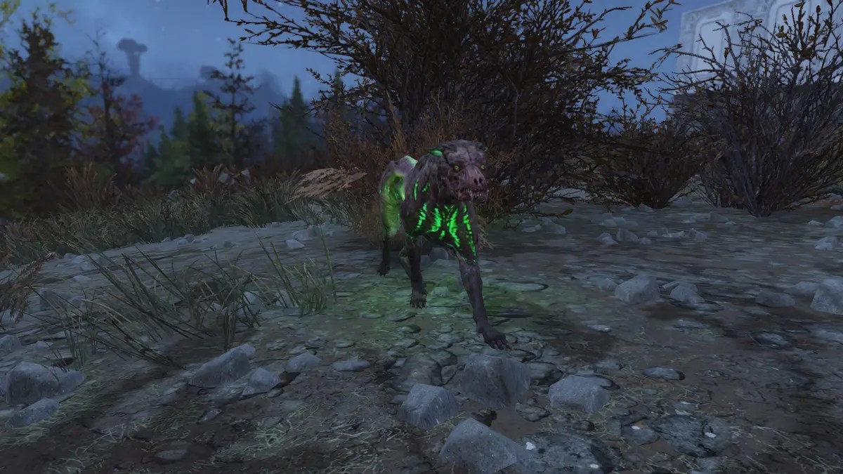 Where to find Canines in Fallout 76, all locations – Destructoid