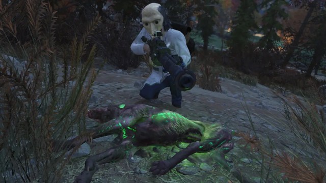 Where to find Canines in Fallout 76, all locations – Destructoid