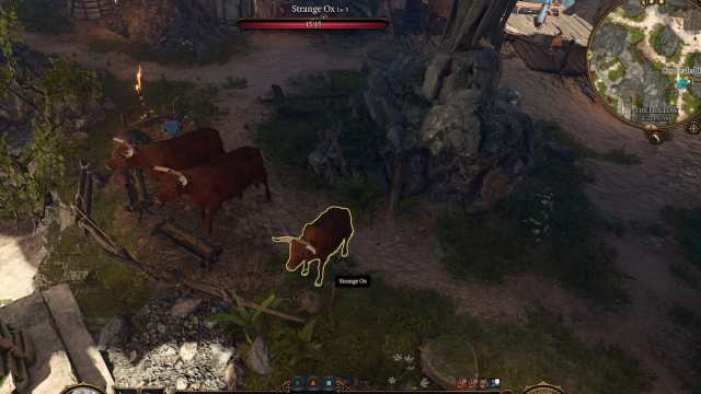 Baldur's Gate 3 Strange Ox act one location