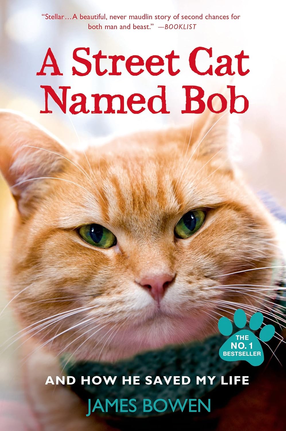 Cover of A Street Cat Named Bob by James Bowen