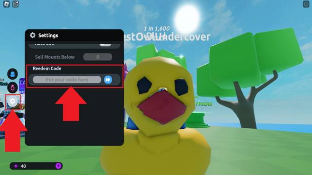 How to redeem codes in Mount RNG