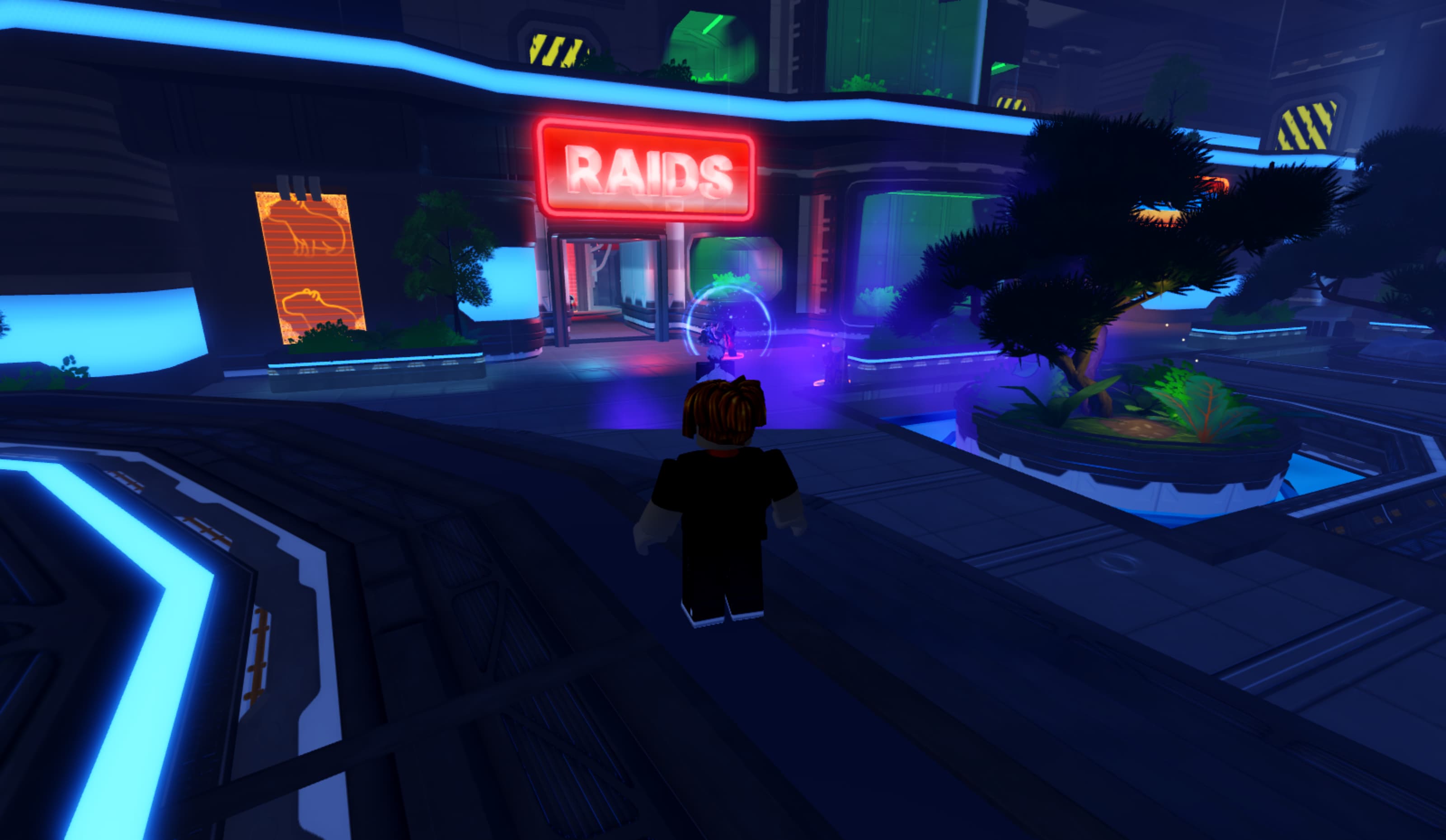 A screenshot of Raids in Anime Vanguards.