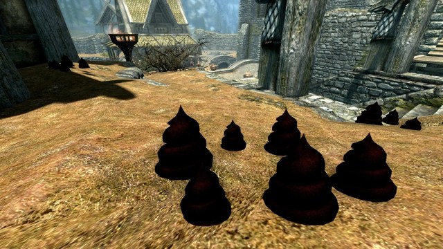 Skyrim: giant piles of poop on some dry land near buildings in the city of Whiterun.