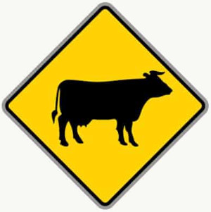 Cattle Crossing road sign in the BitLife driving test