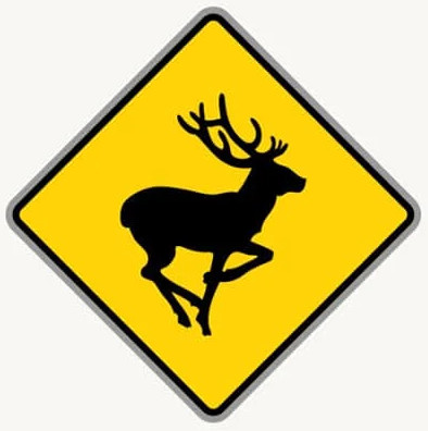 Deer Crossing road sign in the BitLife driving test