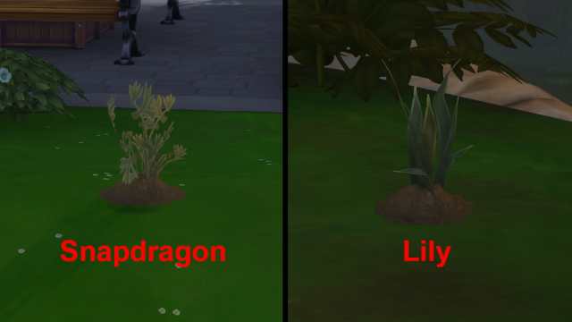 The Sims 4 Snapdragon and Orchid plants