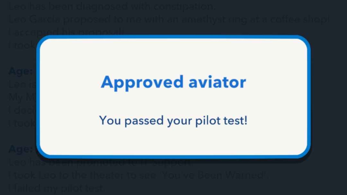 Pilot test passed in BitLife