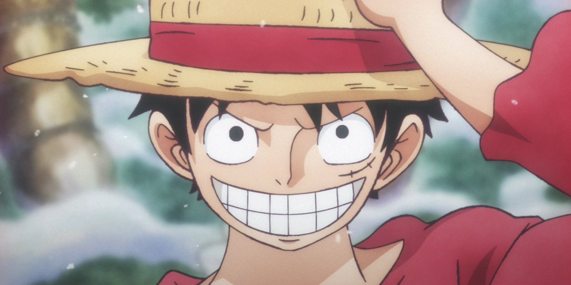 Monkey D. Luffy at the begginning of the time skip, in the One Piece anime.