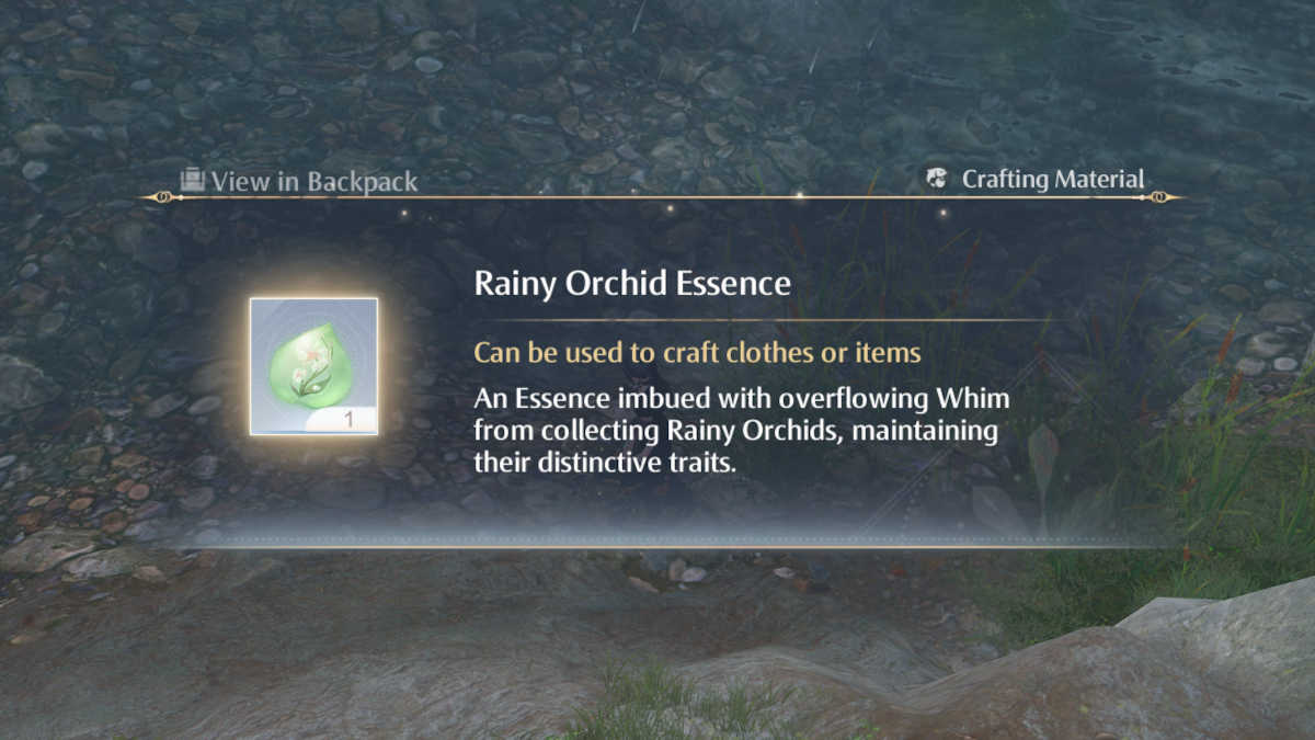 Rainy Orchid Essence in Infinity Nikki