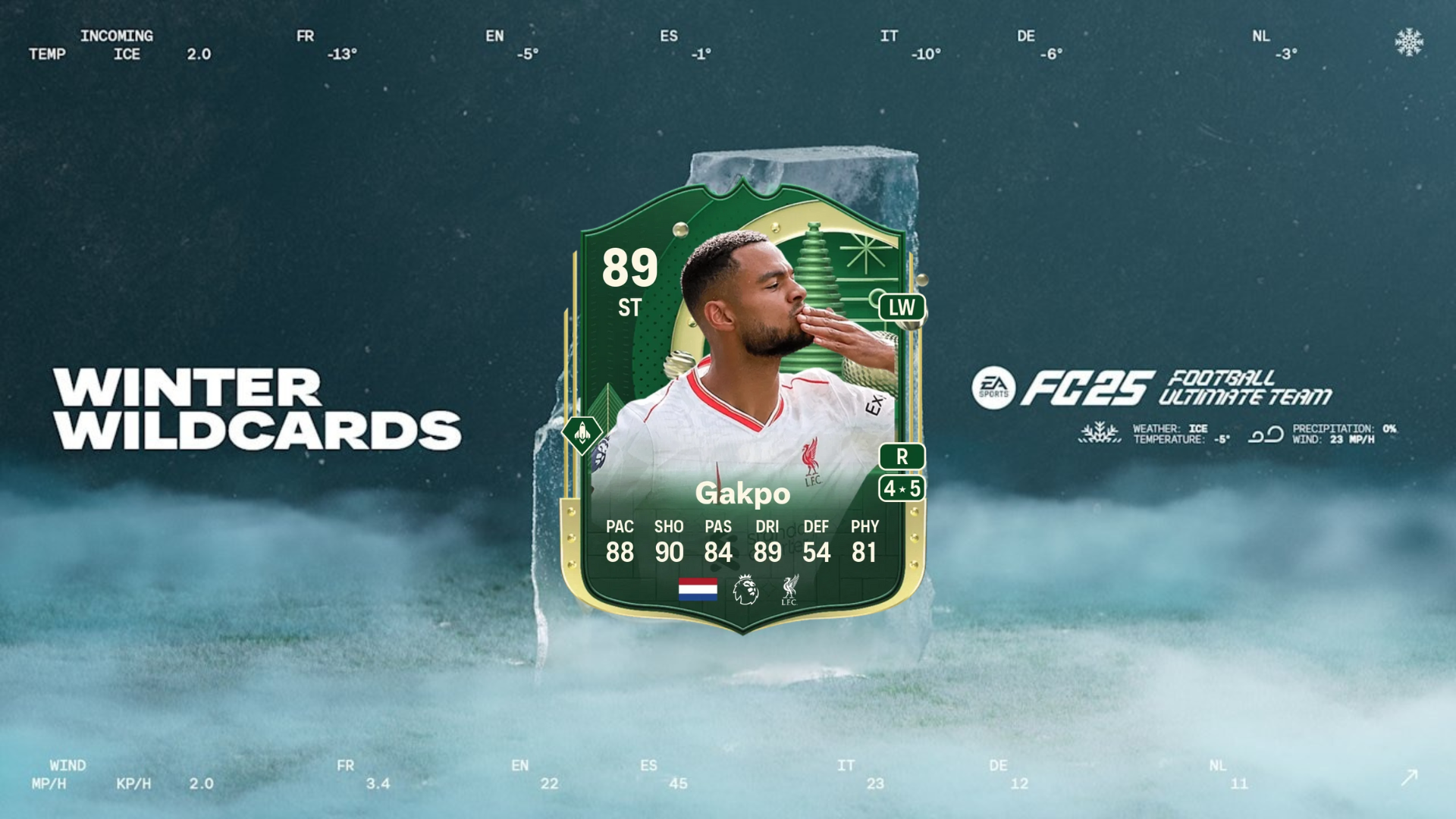 EA FC 25 Cody Gakpo Winter Wildcards SBC solutions