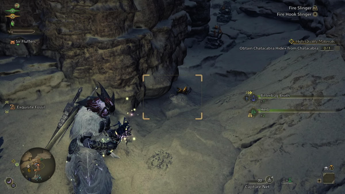 Curioshell Crab carrying Ancient Wyvern Coin