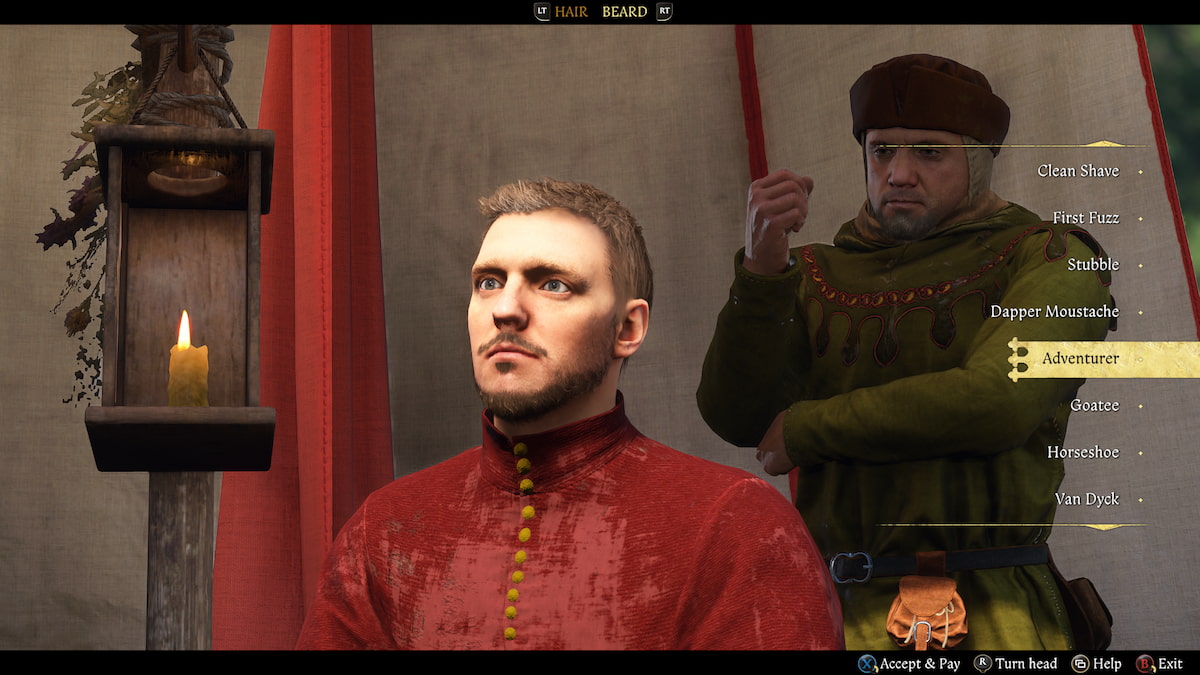 Henry's Adventurer beard