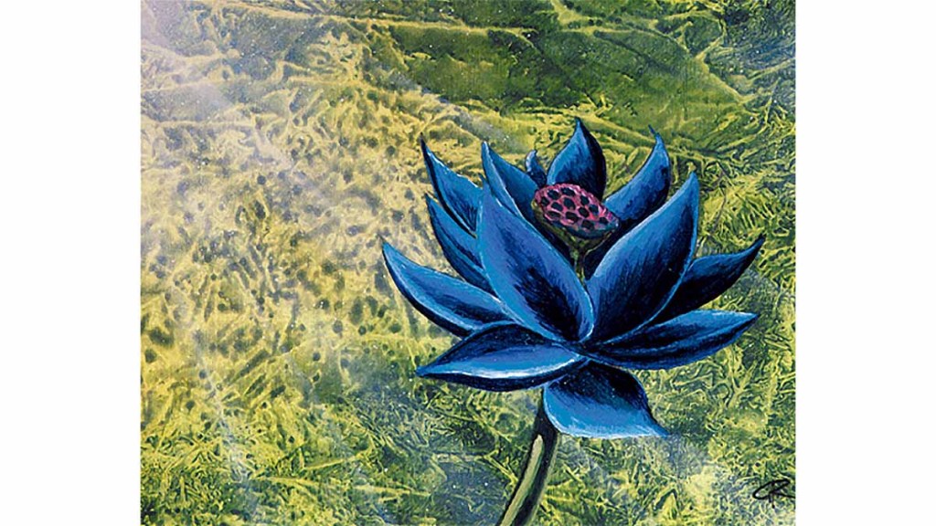 The Black Lotus, the most expensive card in the history of MTG. It's artwork shows a black flower over a field of green.