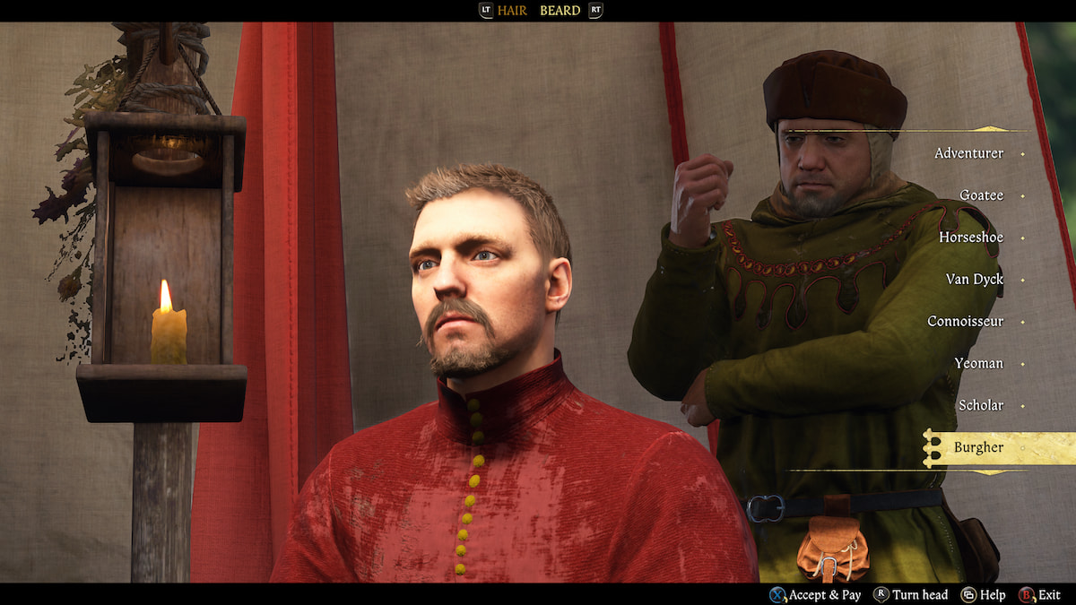 Henry's Burgher beard