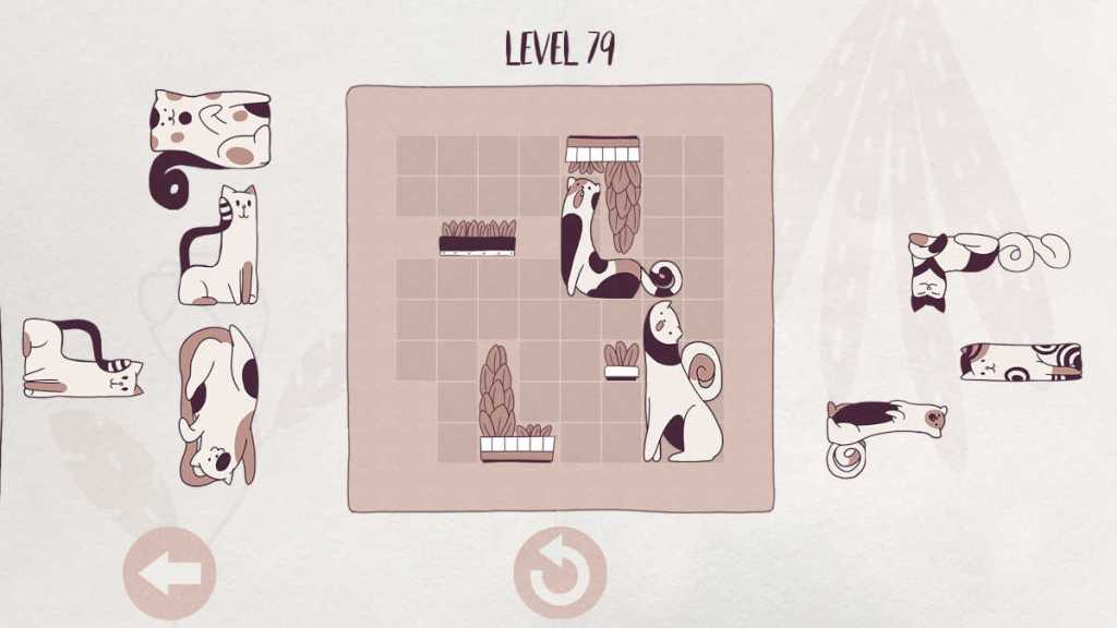 Cats being organized in Cats Organized Neatly