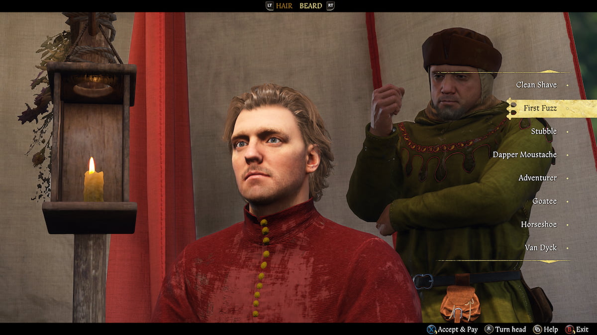 Henry's First Fuzz beard