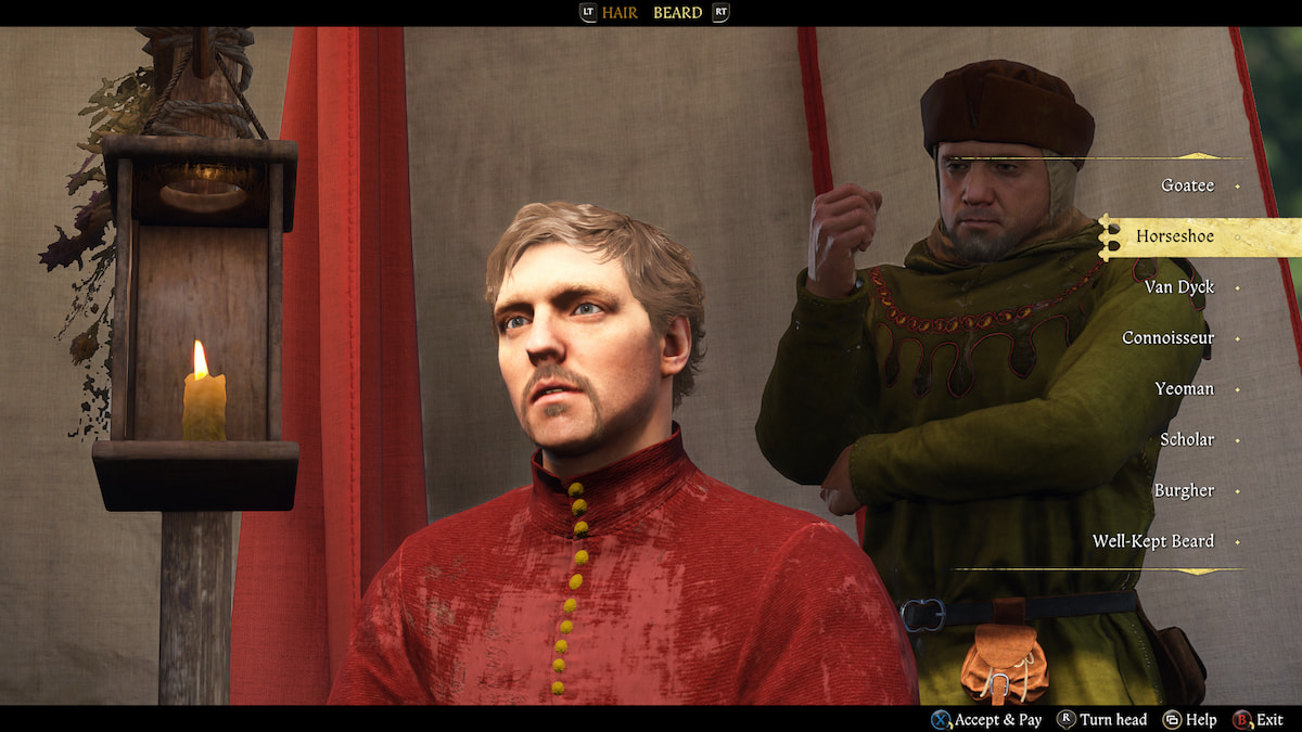 Henry's Horseshoe beard