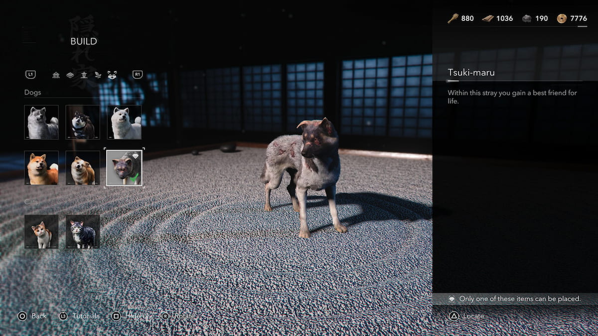 Tsuki-maru dog companion