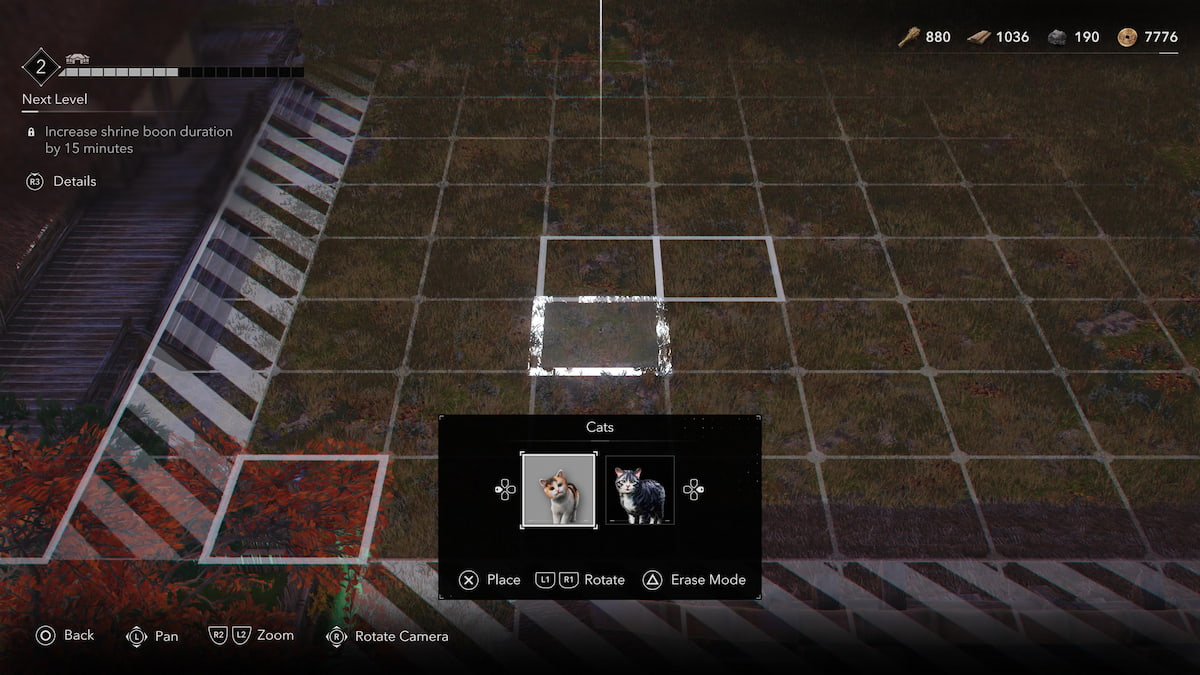 Placing down cats in Hideout