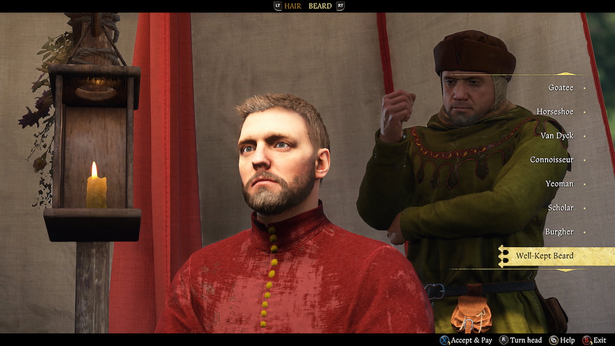 Henry's Well-Kept Beard