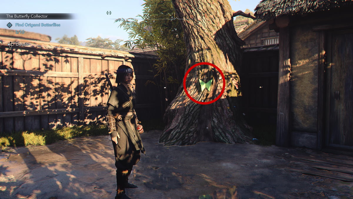 Green butterfly on a treee