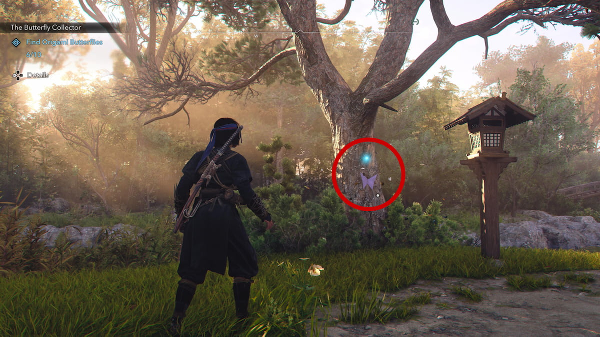 Purple Butterfly on tree