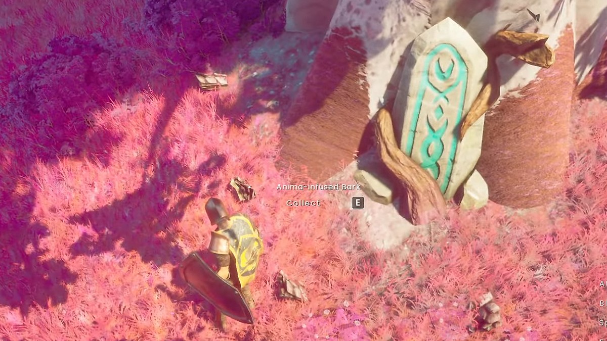 an image of Anima-Infused Bark in RuneScape Dragonwilds