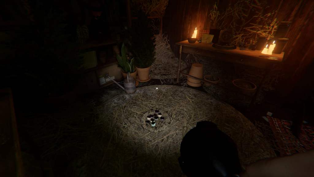 Forest Minion nest on the ground in Phasmophobia