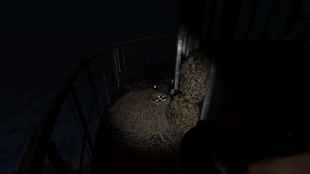 Forest Minion nest on balcony at Point Hope in Phasmophobia