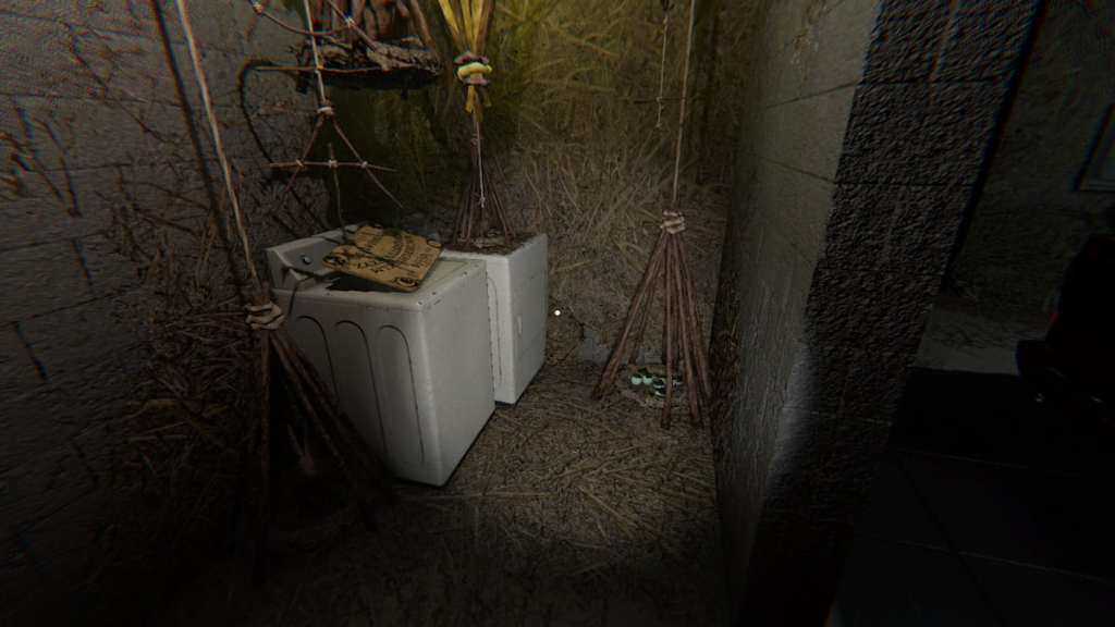 Forest Minion nest in laundry room at 13 Willow Street in Phasmophobia