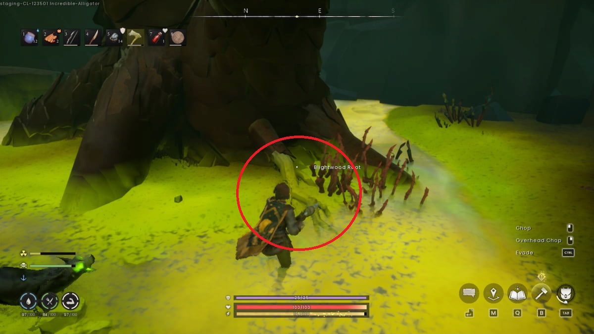 Blightwood Root in RuneScape: Dragonwilds