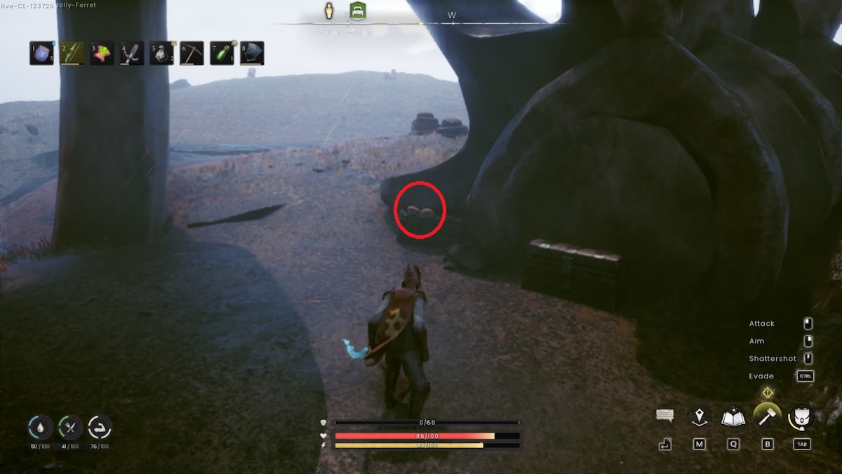 Finding the Ritual of Purification book