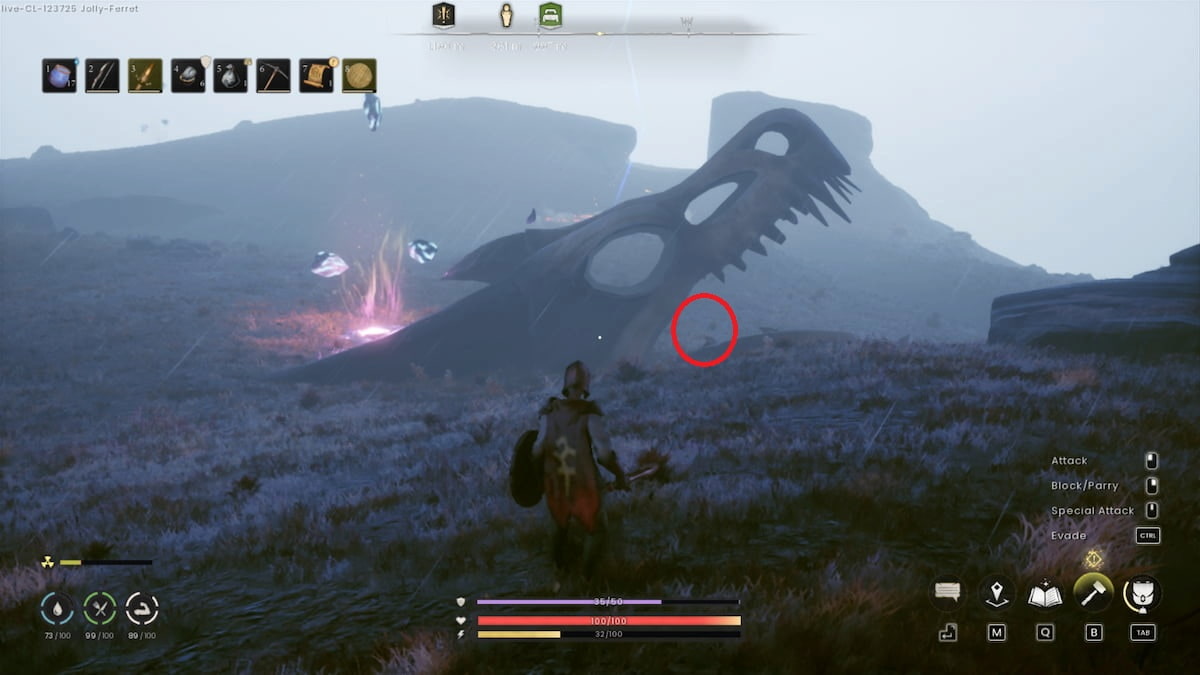 Finding the dragon skull in the highlands