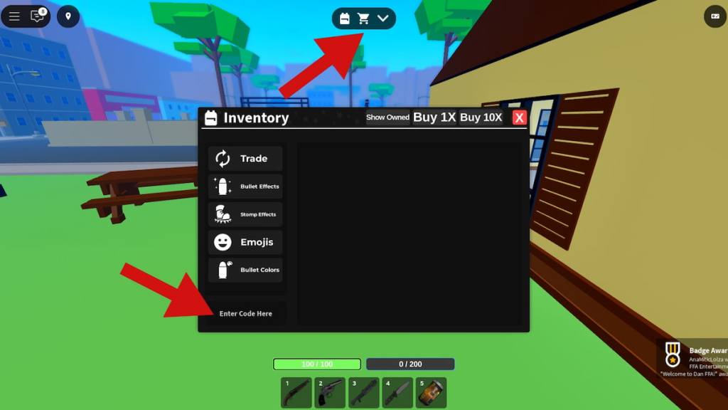 Redeeming codes in Dan FFA