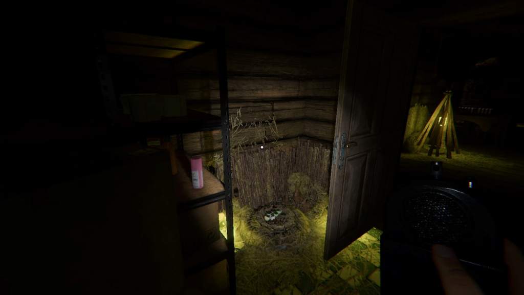 Laundry room forest minion nest at Grafton Farmhouse in Phasmophobia